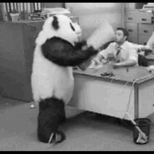 Meet your Posher, Rogelio